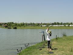 Floarea Popestiului 20 - 20 iun.